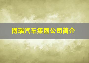 博瑞汽车集团公司简介