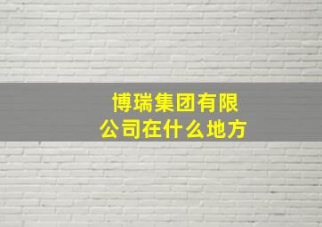 博瑞集团有限公司在什么地方