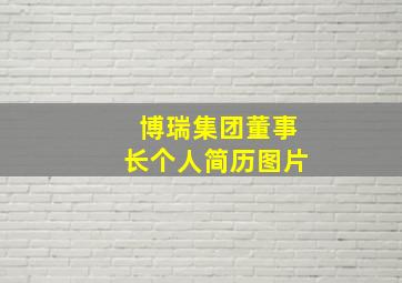 博瑞集团董事长个人简历图片