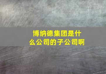 博纳德集团是什么公司的子公司啊