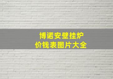 博诺安壁挂炉价钱表图片大全