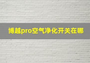 博越pro空气净化开关在哪