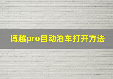 博越pro自动泊车打开方法