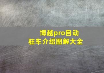 博越pro自动驻车介绍图解大全