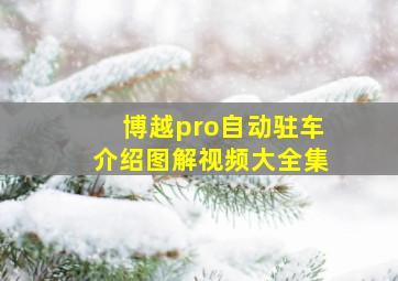 博越pro自动驻车介绍图解视频大全集