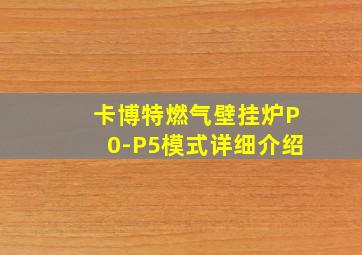 卡博特燃气壁挂炉P0-P5模式详细介绍