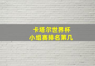 卡塔尔世界杯小组赛排名第几