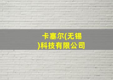 卡塞尔(无锡)科技有限公司