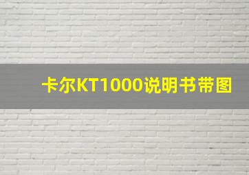 卡尔KT1000说明书带图