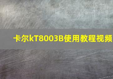 卡尔kT8003B使用教程视频