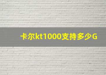 卡尔kt1000支持多少G