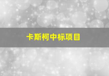 卡斯柯中标项目