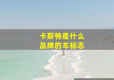 卡斯特是什么品牌的车标志