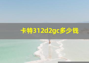 卡特312d2gc多少钱