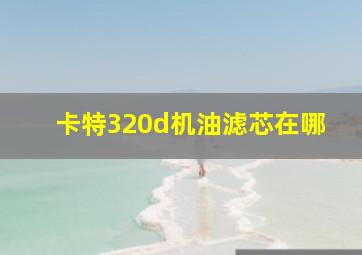 卡特320d机油滤芯在哪