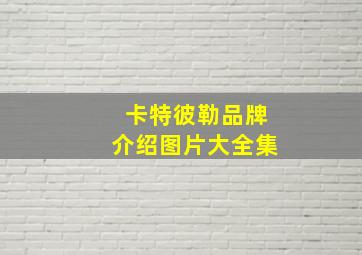 卡特彼勒品牌介绍图片大全集