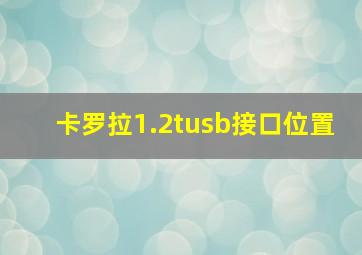 卡罗拉1.2tusb接口位置