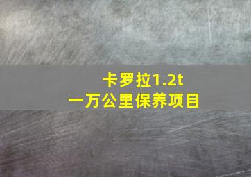 卡罗拉1.2t一万公里保养项目