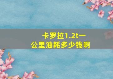 卡罗拉1.2t一公里油耗多少钱啊