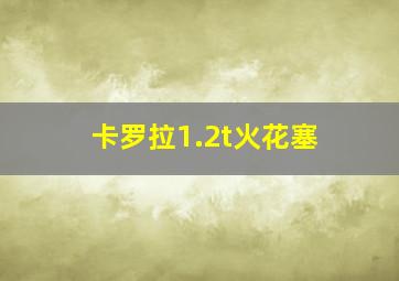 卡罗拉1.2t火花塞