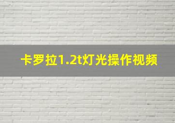 卡罗拉1.2t灯光操作视频