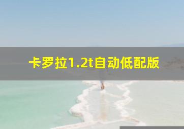 卡罗拉1.2t自动低配版