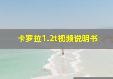 卡罗拉1.2t视频说明书