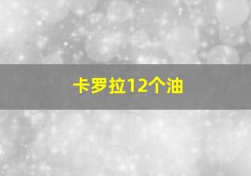 卡罗拉12个油