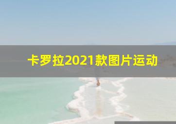 卡罗拉2021款图片运动