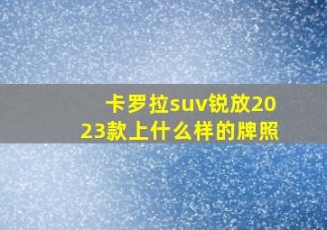 卡罗拉suv锐放2023款上什么样的牌照