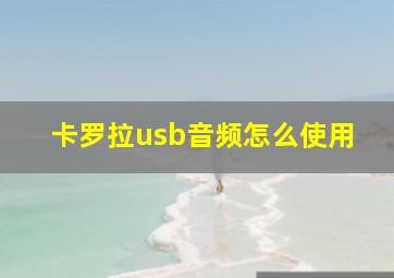 卡罗拉usb音频怎么使用