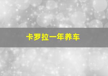 卡罗拉一年养车