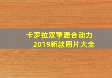 卡罗拉双擎混合动力2019新款图片大全