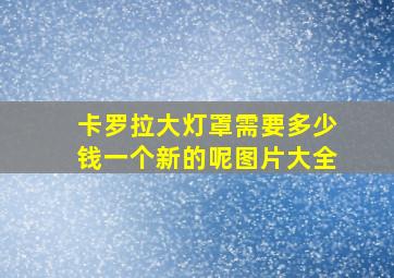 卡罗拉大灯罩需要多少钱一个新的呢图片大全