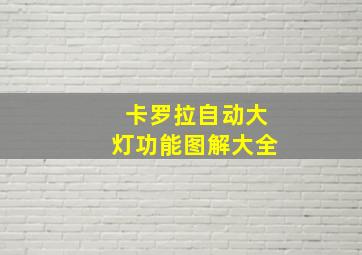 卡罗拉自动大灯功能图解大全