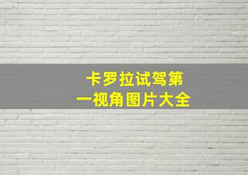 卡罗拉试驾第一视角图片大全