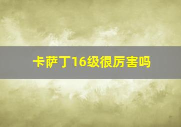 卡萨丁16级很厉害吗