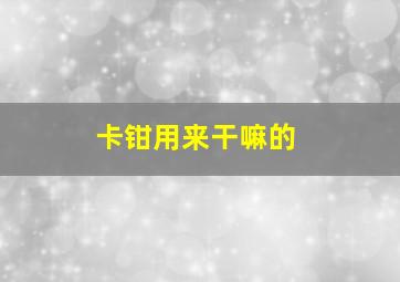 卡钳用来干嘛的