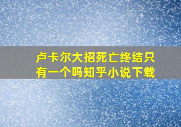 卢卡尔大招死亡终结只有一个吗知乎小说下载