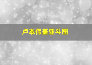 卢本伟盖亚斗图