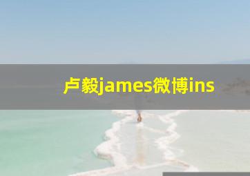 卢毅james微博ins