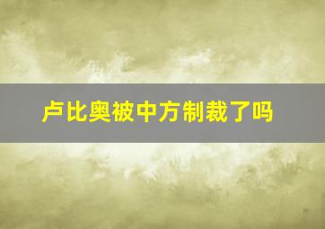 卢比奥被中方制裁了吗