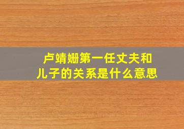 卢靖姗第一任丈夫和儿子的关系是什么意思