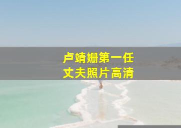 卢靖姗第一任丈夫照片高清