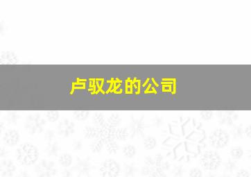 卢驭龙的公司