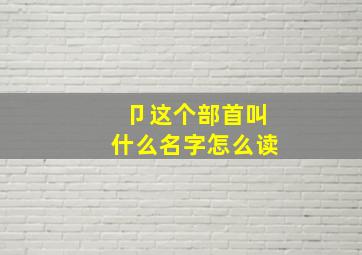 卩这个部首叫什么名字怎么读