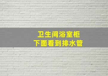 卫生间浴室柜下面看到排水管