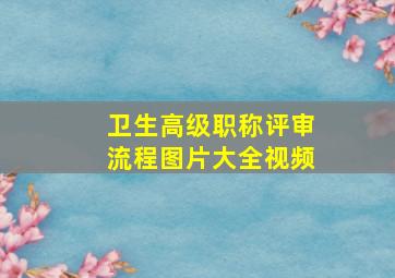 卫生高级职称评审流程图片大全视频