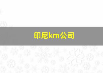 印尼km公司