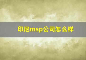 印尼msp公司怎么样